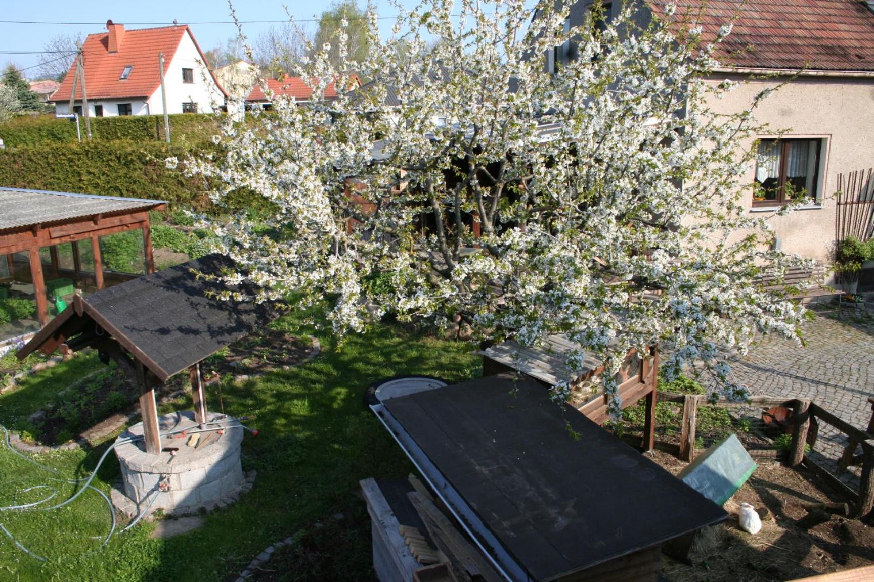 Nicklich Berbisdorf
